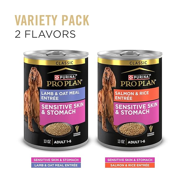 PURINA PRO PLAN SENSITIVE SKIN AND STOMACH WET DOG FOOD, SALMON AND RICE AND LAMB AND OAT MEAL VARIETY PACK – (PACK OF 12) 13 OZ. CANS