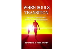 When souls transition: 30 Cases of past-life and life-between-lives regressions