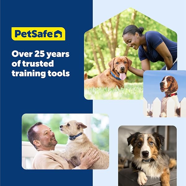 PETSAFE NANOBARK COLLAR – WORLD’S SMALLEST BARK COLLAR FOR SMALL AND MEDIUM DOGS, 10 LEVELS OF STATIC STIMULATION, WATERPROOF AND RECHARGEABLE ANTI-BARK TRAINING, COMFORTABLE AND LOW-PROFILE DESIGN