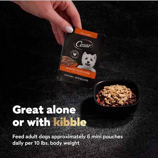 CESAR FILETS IN GRAVY WET DOG FOOD ROTISSERIE CHICKEN FLAVOR, FILET MIGNON FLAVOR, AND WOOD-GRILLED CHICKEN VARIETY PACK, WET FOOD FOR DOGS, 1.76 OZ. MINI-POUCHES, 40 COUNT