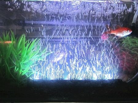 aquaneat aquarium light
