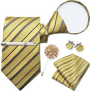 Mens Pretied Stripe Tie Set Jacquard Woven Silk Necktie and Pocket Square Cufflinks Set for Party