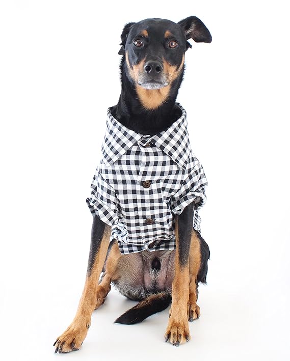 Dog Threads Plaid Dog Shirt Classic Button Down Shirt (S