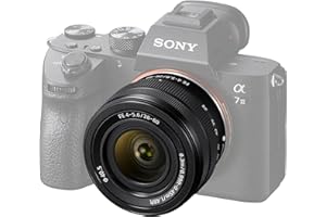 Sony FE 28-60mm F4-5.6 Full-Frame Compact Zoom Lens