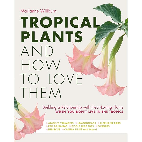 Tropical Plants and How to Love Them: Building a Relationship with