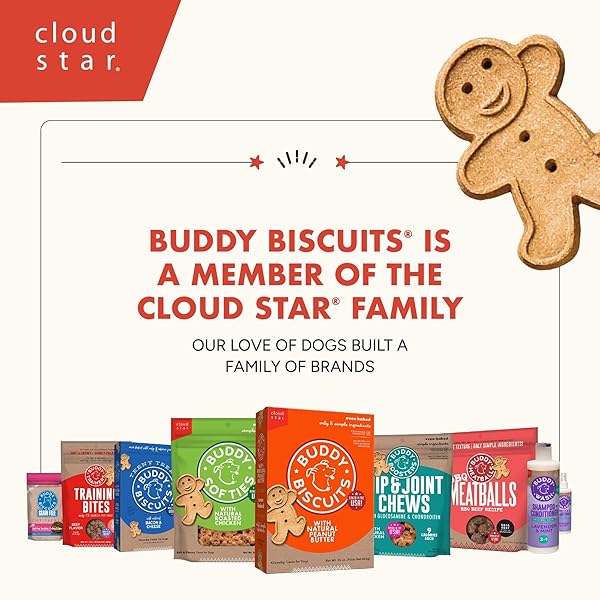 BUDDY BISCUITS CRUNCHY DOG TREATS, PEANUT BUTTER, 18 OZ. BOX