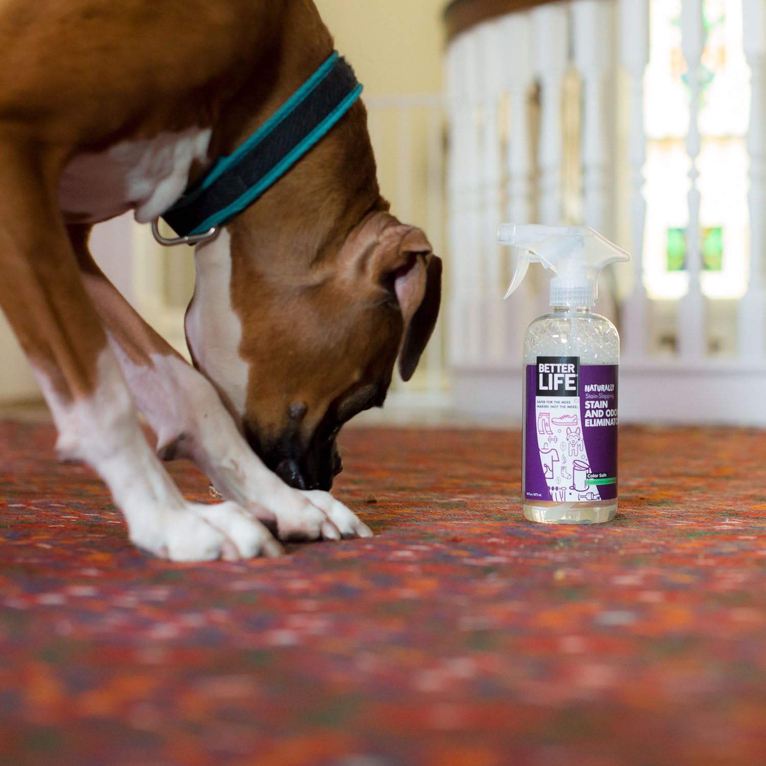 Better Life Natural Stain & Odor Eliminator, 16 oz: Health & Personal Care