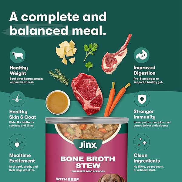 JINX BONE BROTH STEW FOR DOGS – BEEF & VEGETABLES RECIPE – GRAIN-FREE WET DOG FOOD & TOPPER FOR PICKY EATERS – PROMOTES LEAN MUSCLE GROWTH, A HEALTHY COAT & IMPROVED DIGESTION – 13 OZ, 12 PACK