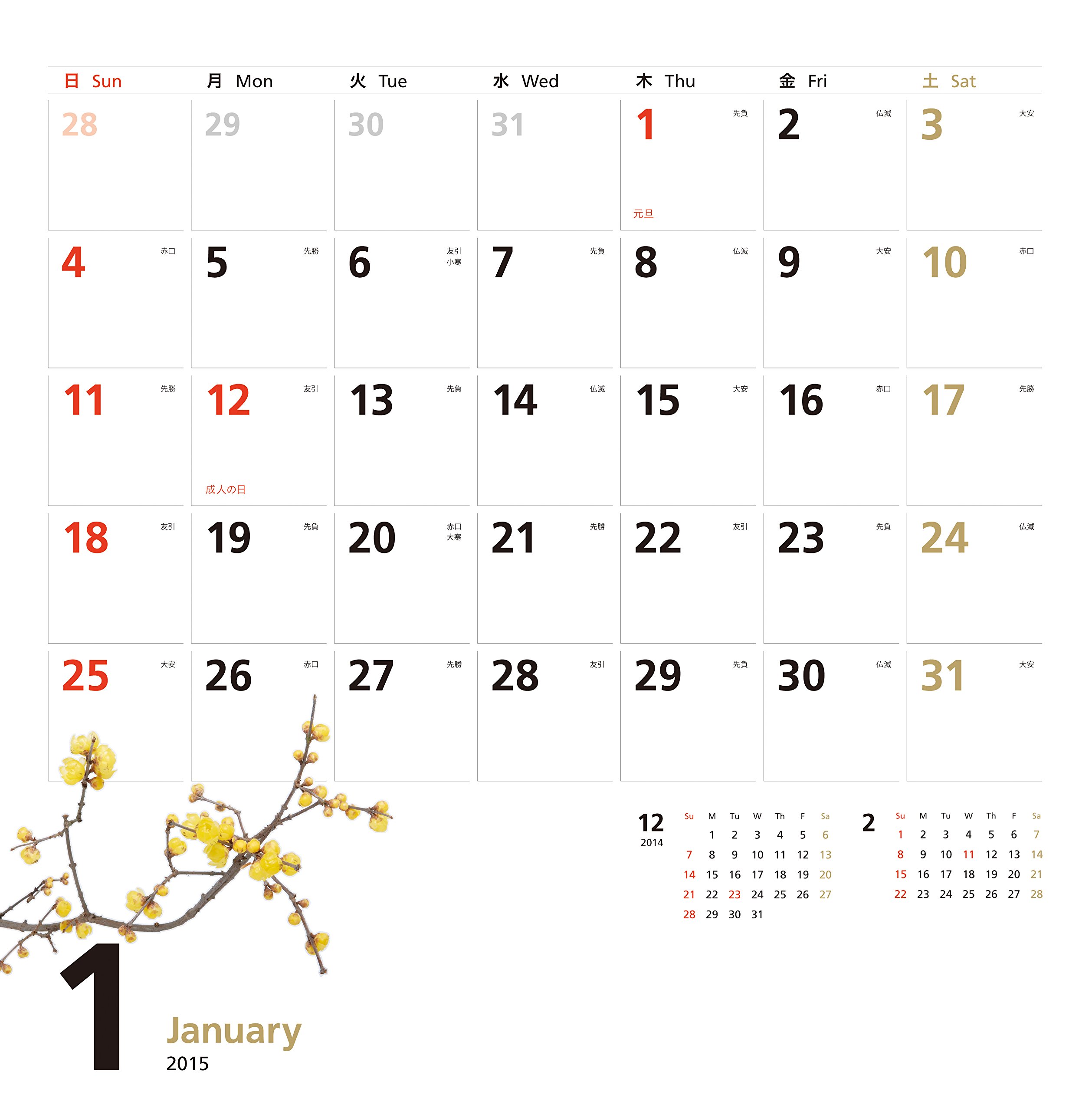 Amazon Co Jp カレンダー15 シンプルカレンダー Flower 壁掛け ヤマケイカレンダー15 植木 裕幸 本