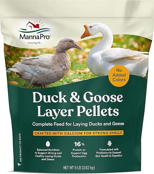 MANNA PRO DUCK AND GOOSE LAYER FEED – HIGH PROTEIN PELLETS FOR EGG PRODUCTION – FORMULATED WITH PROBIOTICS TO SUPPORT DIGESTIVE HEALTH IN DUCKS AND GEESE – POULTRY LAYER PELLETS – 8 LB BAG
