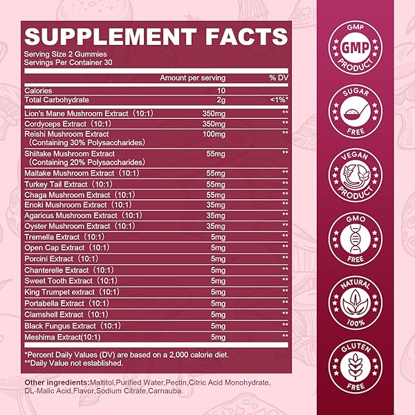 2 PACK MUSHROOM GUMMIES, 20 IN 1 LIONS MANE MUSHROOM COMPLEX SUPPLEMENT WITH REISHI, CHAGA, CORDYCEPS & MORE FOR ADULT, SUPPORT FOR BRAIN, FOCUS & COGNITIVE HEALTH, VEGAN, RASPBERRY FLAVOR, 120CT
