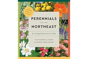Perennials for the Northeast: A Comprehensive Guide
