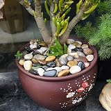 Hisredsun Decorative River Pebbles 3.96 lb for Aquarium Garden Landscaping view 3