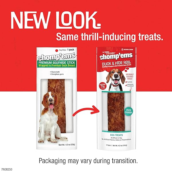 CHOMP’EMS PREMIUM BEEFHIDE CHEW FOR DOGS, 1 CHEW