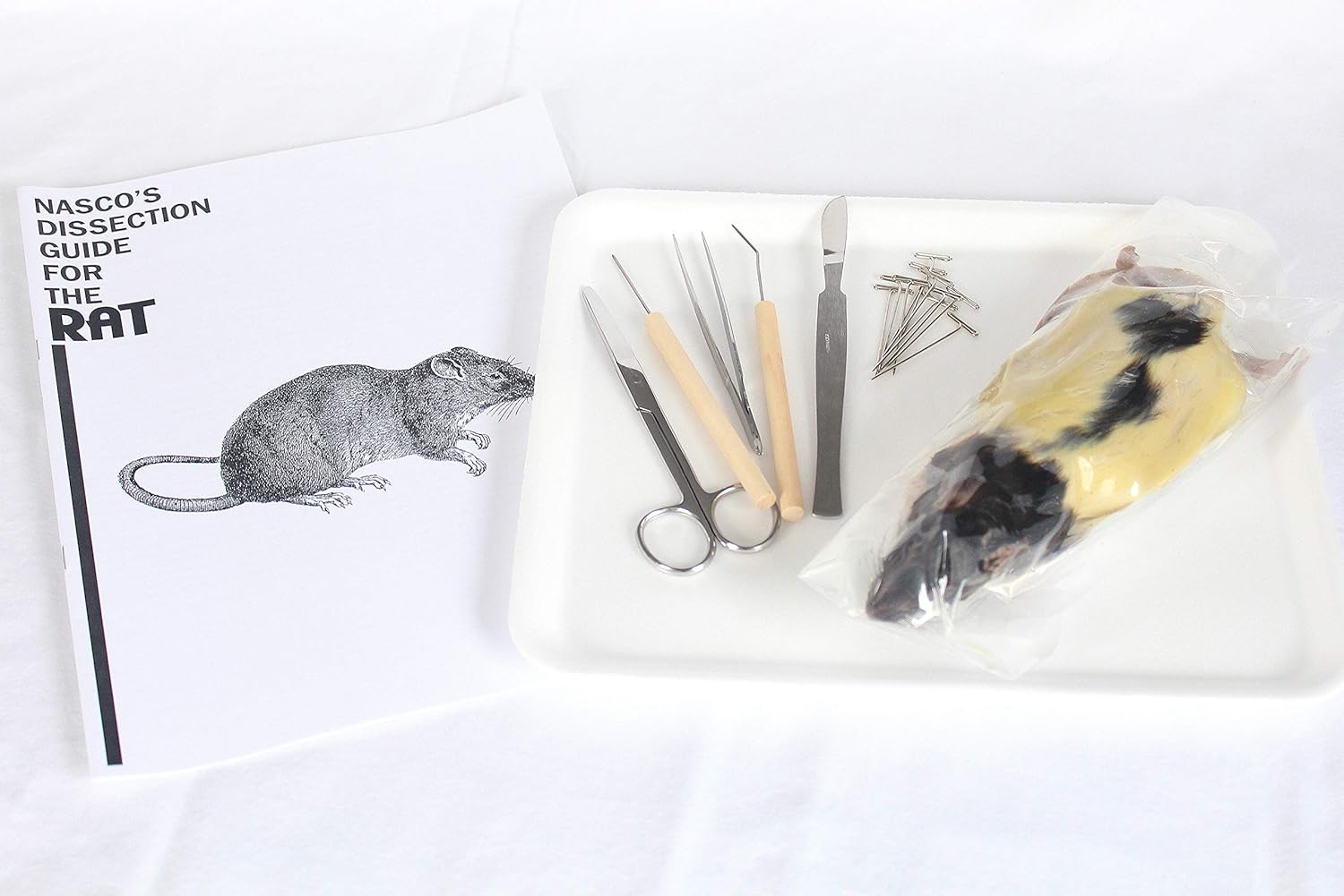 Rat Dissection Kit Industrial & Scientific