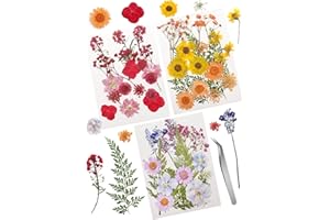 Cinvo 54 Pcs Real Dried Pressed Flowers and Leaves Natural Dried Petals Greenery with Tweezer for Candle Resin Jewelry Soap Nail Pendant Phone Case Crafts Making Floral Decors DIY Embellishments