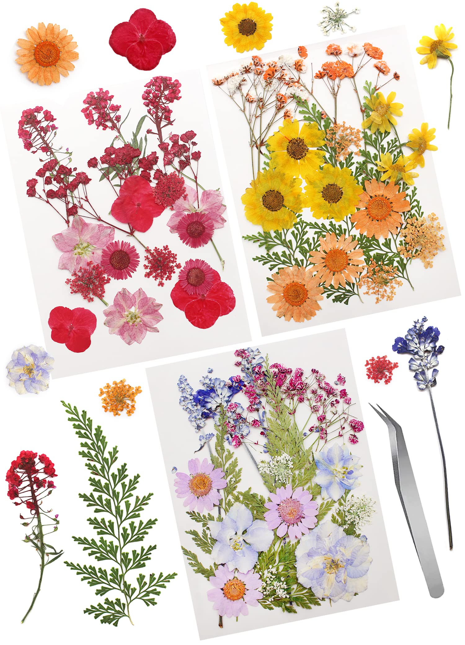 Cinvo 54 Pcs Real Dried Pressed Flowers and Leaves Natural Dried Petals Greenery with Tweezer for Candle Resin Jewelry Soap Nail Pendant Phone Case Crafts Making Floral Decors DIY Embellishments