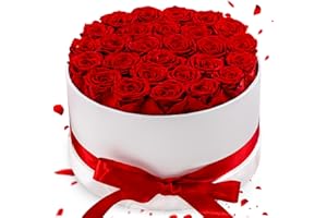 HOVER FLOWER 27 Forever Roses in Luxury White Box, Eternal Real Roses Gift for Women, Preserved Flowers for Delivery Prime, Anniversary, Valentine's Day, Birthday for Her (Red)