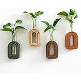 GRID FORTE Wood Wall Arched Propagation Vases (Set of 4), Hanging Plant and Flower Vases, Home Decor Boho Wall Decoration for Living Room Bedroom