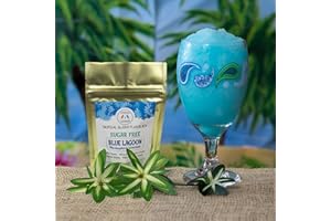 2 FRIENDS & A BLENDER Sugar Free Blue Raspberry Lemonade, Diabetic & Keto Friendly Frozen Slushy Cocktail Mix - Vodka, Rum, Wine, Tequila, Non-Alcoholic