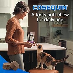 Nutramax Cosequin for Cats Joint Health