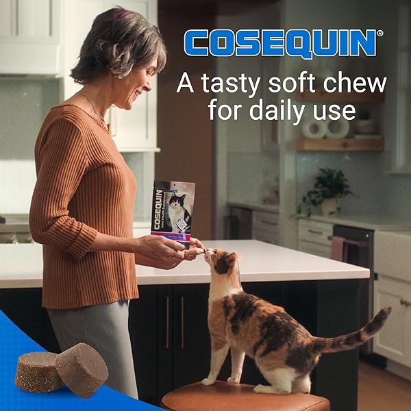 NUTRAMAX COSEQUIN FOR CATS JOINT HEALTH SUPPLEMENT, CONTAINS GLUCOSAMINE FOR CATS, PLUS CHONDROITIN AND OMEGA-3S, SUPPORTS JOINT AND SKIN AND COAT HEALTH, SOFT CHEWS, 60 COUNT