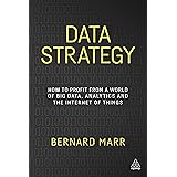 Data Strategy: How to Profit from a World of Big Data, Analytics and the Internet of Things