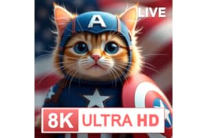 Adorable Kitten Cat Wallpapers 4K HD - Live Cat Wallpaper, Cute Cat Love Photos, Orange Cat & Battle Cats Art