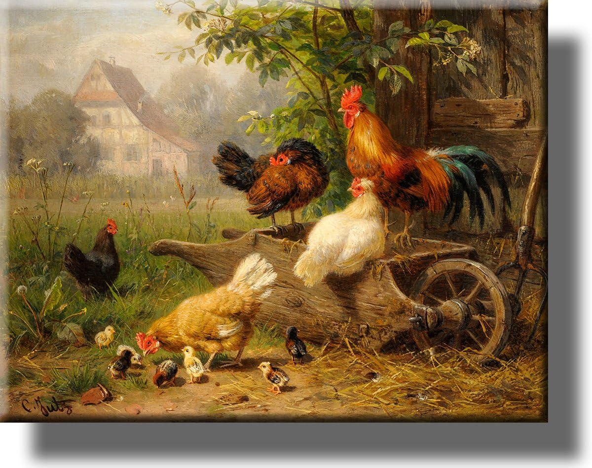 Chicken on Wheelbarrow Picture on Stretched Canvas, Wall Art Decor, Ready to Hang