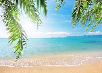 Amazon Com Daniu Tropical Beach Background Photo Props For Studio Wedding Party Photography Backdrops Summer Beach Background Sunshine Sea Blue Sky Cloud Palm Tree 7x5ft Camera Photo Amazon Com Daniu Tropical Beach Background Photo Props For Studio Wedding Party Photography Backdrops Summer Beach Background Sunshine Sea Blue Sky Cloud Palm Tree 7x5ft Camera Photo