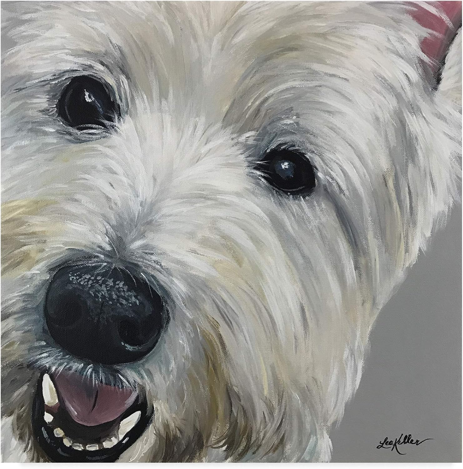 west highland terrier grey