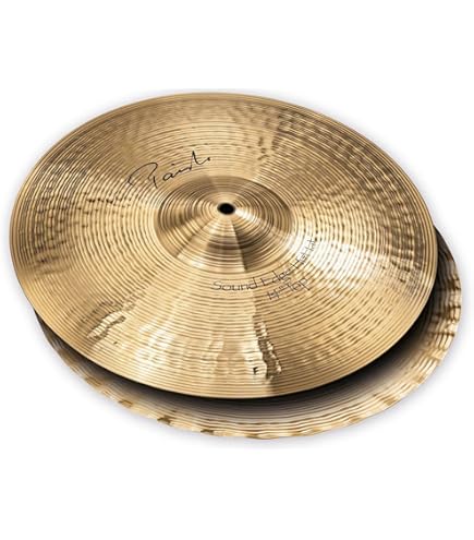 Amazon.com: Paiste Signature Dark Energy Cymbal MK I Crash