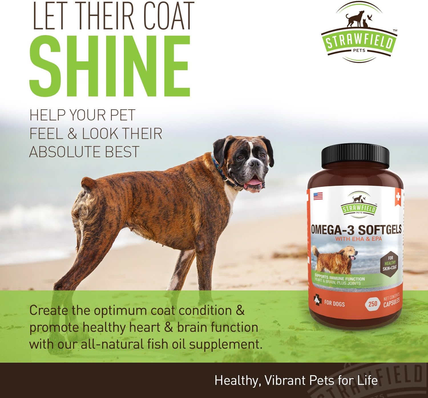 1000 mg fish oil for dogs