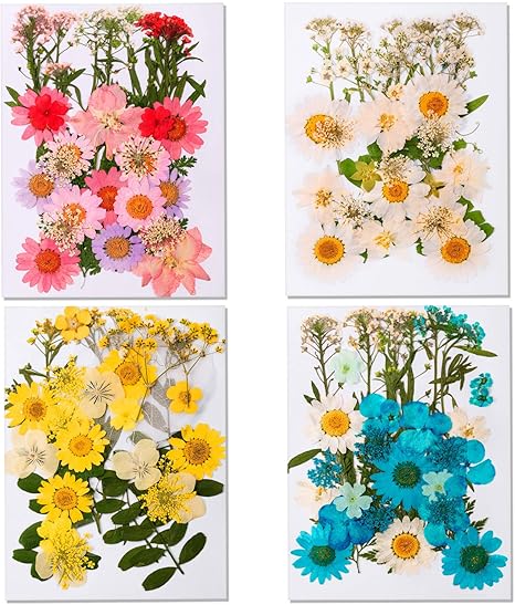 Amazon Nuanchu 139 ピース ドライプレスフラワー 天然ドライフラワー カラフルな押し花 デイジー 本物のドライフラワー 葉 花びら Diy キャンドル ジュエリー ネイル ペンダント クラフト 作成 アートデコ 造花 オンライン通販 Amazon Nuanchu 139 ピース ドライプレスフラワー 天然ドライフラワー カラフルな押し花 デイジー 本物のドライフラワー 葉 花びら Diy キャンドル ジュエリー ネイル ペンダント クラフト 作成 アートデコ 造花 オンライン通販