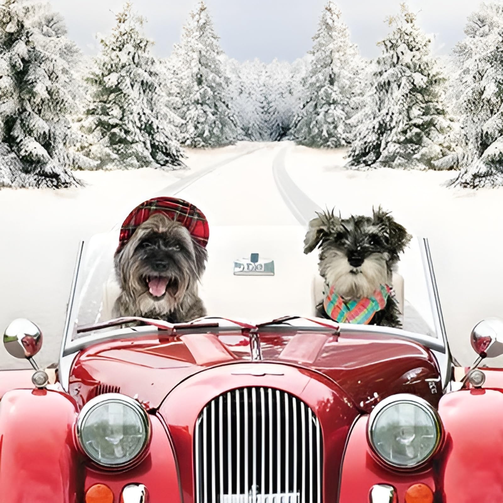 GBCC Charity Christmas Cards Pack of 6 - Charity Christmas Cards with Dogs in a Classic Car Snowy Scene - Eco-Friendly Xmas Cards Multipack with Envelopes