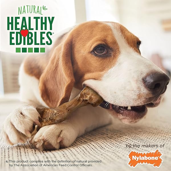 NYLABONE HEALTHY EDIBLES WILD NATURAL DOG CHEWS, LONG LASTING BONES FOR DOGS, BISON FLAVOR DOG TREATS, MEDIUM (2 COUNT)