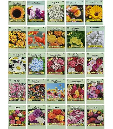 10 inch ceramic flower pot LE TAUCI Ceramic Plant Pots Indoor, 10 Inch 8 Inch 6 Inch Planters for –  LETAUCI main image 0