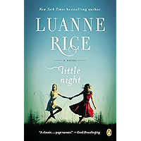 Little Night: A Novel book cover