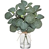 Piklado 12" Fake Eucalyptus Stems in Vase with Faux Water,Artificial Plants Leaves for Shelf Desk Bathroom Farmhouse Room Coffee Table Home Decor (Eucalyptus-Fruit)