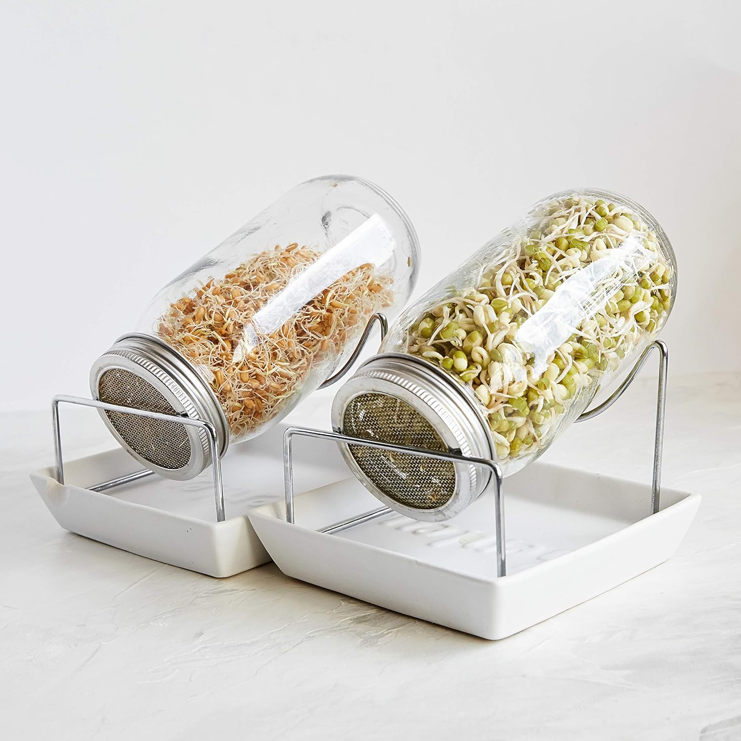 NOW Foods 1/2 Gallon Sprouting Jar - For Fresh, Tasty And Healthy Sprouts