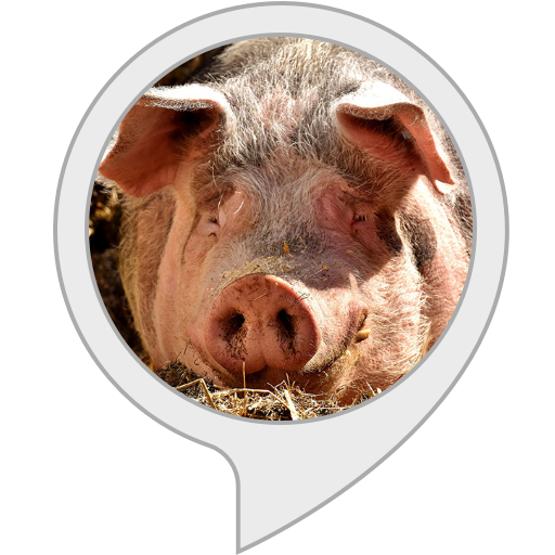 Amazon Co Jp 豚の異音 Alexaスキル