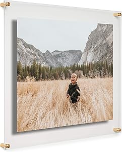 Cool Modern Frames Clear Floating Double Panel Acrylic Picture Frame, 16x20-Inch, Gold Hardware