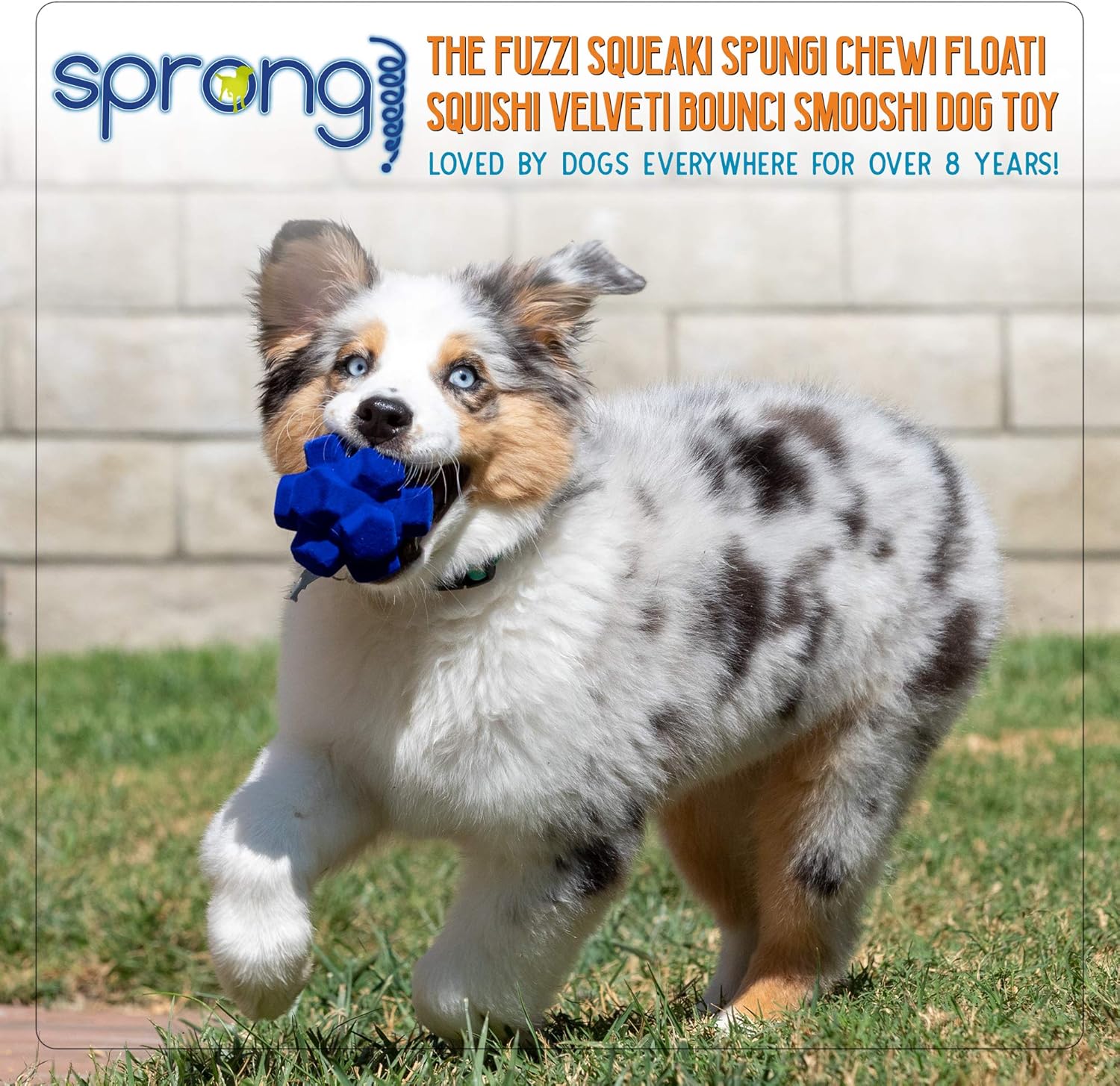 super bouncy dog ball