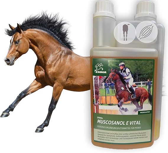 Reiskeimol Vitamin E Fur Pferde I Aufbaufutter I Energie Booster Unterstutzt Stoffwechsel Muskulatur Muskelaufbau Konditon I Reiskleie Ol Omega 3 Ol I Senior Fohlen Hengst Stuten Sport Pferd 1l Amazon De Haustier