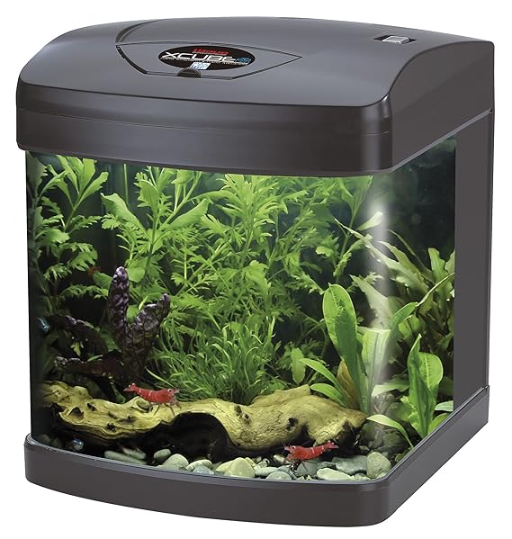 Wave XCUBE, LED-Licht,