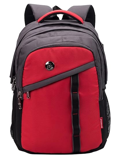 COSMUS Polyester 33 Ltr Grey & Red School Backpack