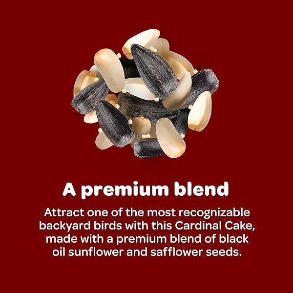 KAYTEE CARDINAL SEED CAKE, WILD BIRD FOOD, 1.85 POUNDS