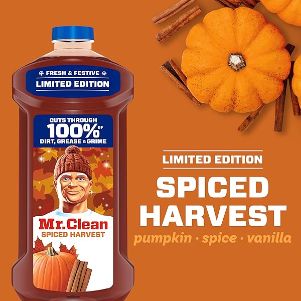 MR. CLEAN ALL PURPOSE CLEANER, CLEANING LIQUID, SPICED HARVEST, 41OZ