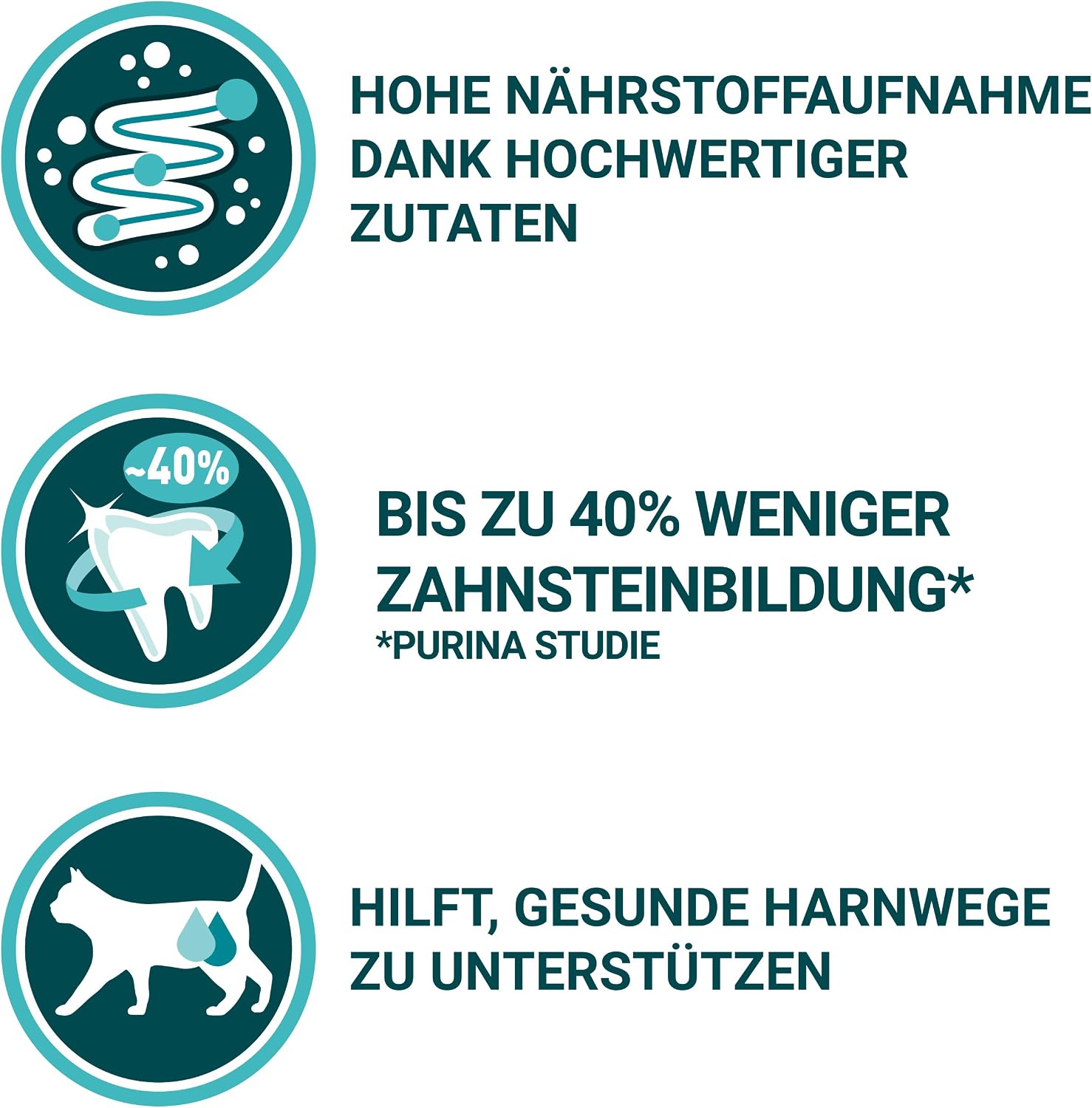 PURINA ONE BIFENSIS Adult Dry Cat Food: Rich in Chicken, Strengthens Natural Defences, for Healthy Bones Skin - Image 3