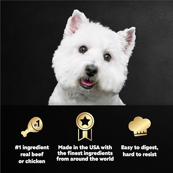 CESAR HOME DELIGHTS ADULT WET DOG FOOD, SLOW COOKED CHICKEN & VEGETABLES DINNER IN SAUCE AND BEEF STEW VARIETY PACK, 3.5 OZ. EASY PEEL DOG FOOD TRAY, 12 COUNT (PACK OF 2)